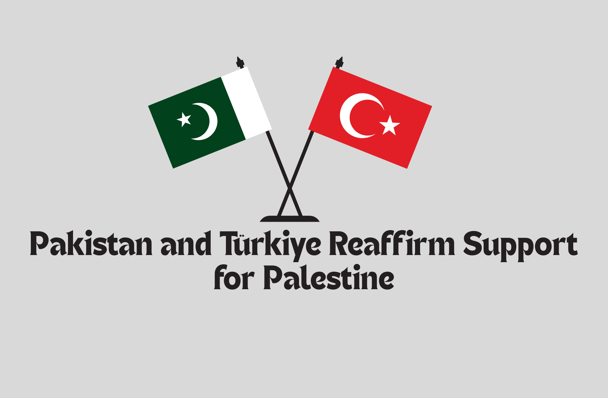 Pakistan and Türkiye Reaffirm Support for Palestine