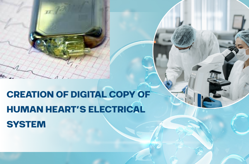 Creation of Digital Copy of Human Heart’s Electrical System