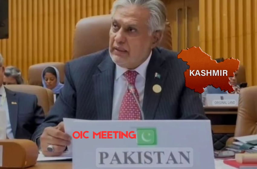 Kashmir OIC Meeting Highlights Human Rights Concerns