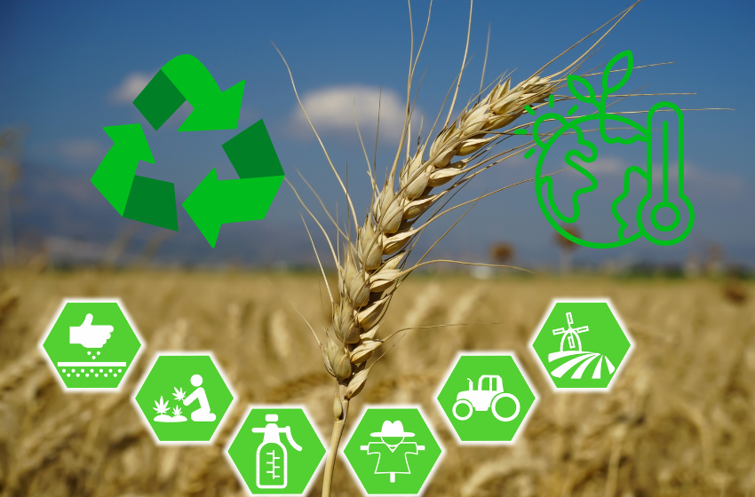 Sindh SWAT Program to Promote Climate-Smart Farming