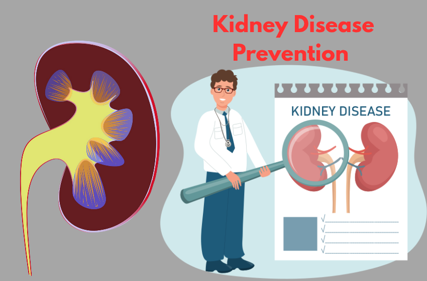How to Prevent Kidney Disease