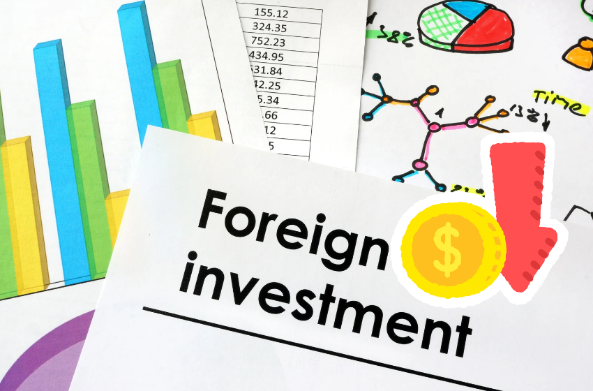 Foreign Investment in Pakistan Drops by 22%