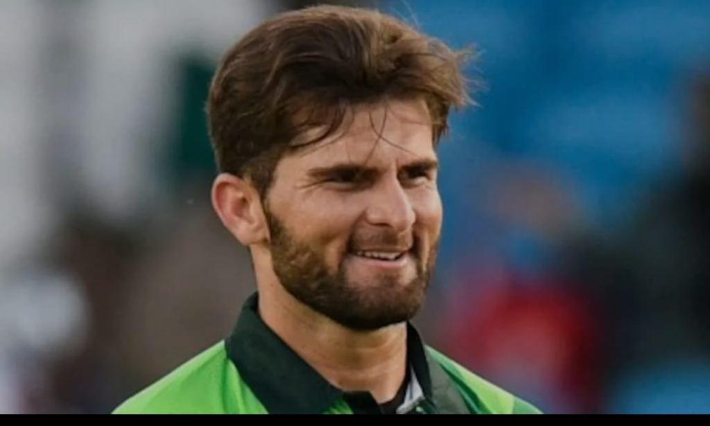 Shaheen afridi