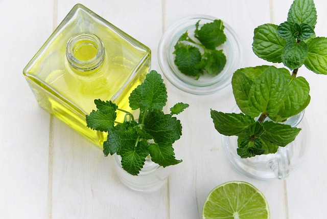 Natural Remedies for Allergies: Safe Relief & Care 2 Peppermint oil remedy for allergy