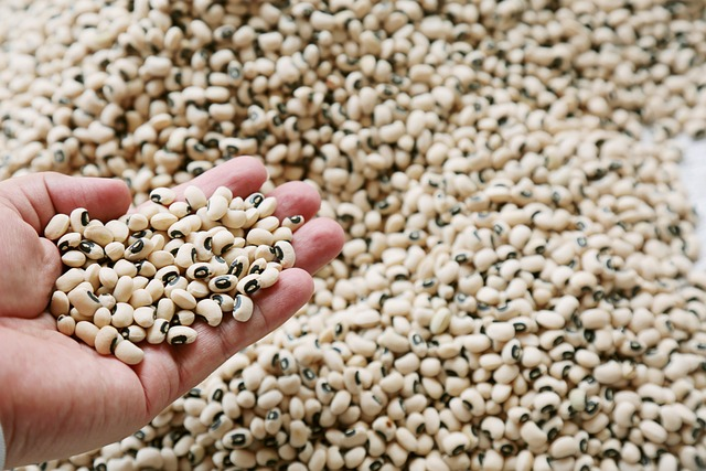 Use legumes as healthier desi food