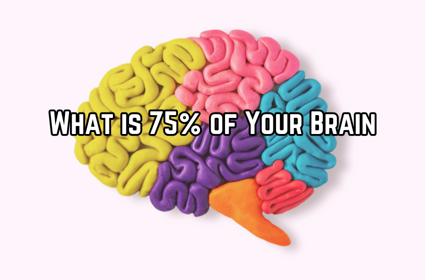 What is 75% of Your Brain