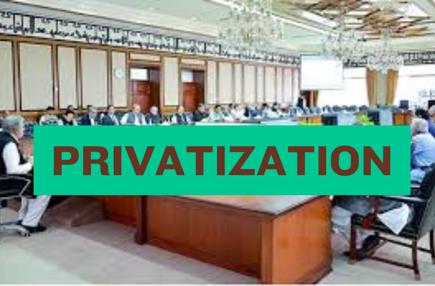 Government Decides to Sell 24 State-Owned Institutions