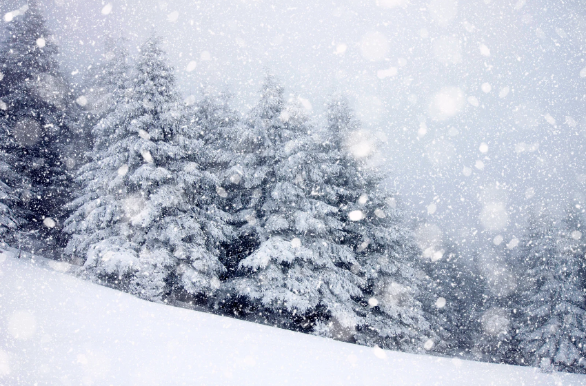 Heavy Snowfall in Upper Areas Cuts Off Road Links