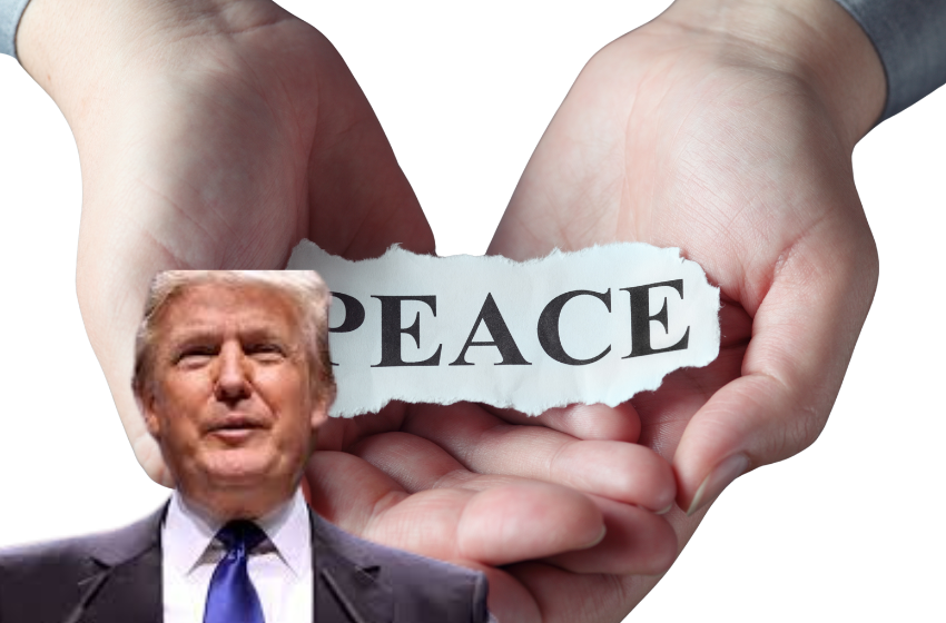 Saudi Cabinet Supports Trump Board of Peace Plan